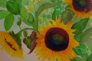 Sunflowers in watercolor