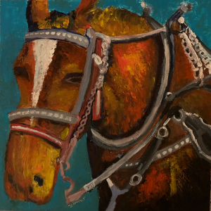 Horse in tack